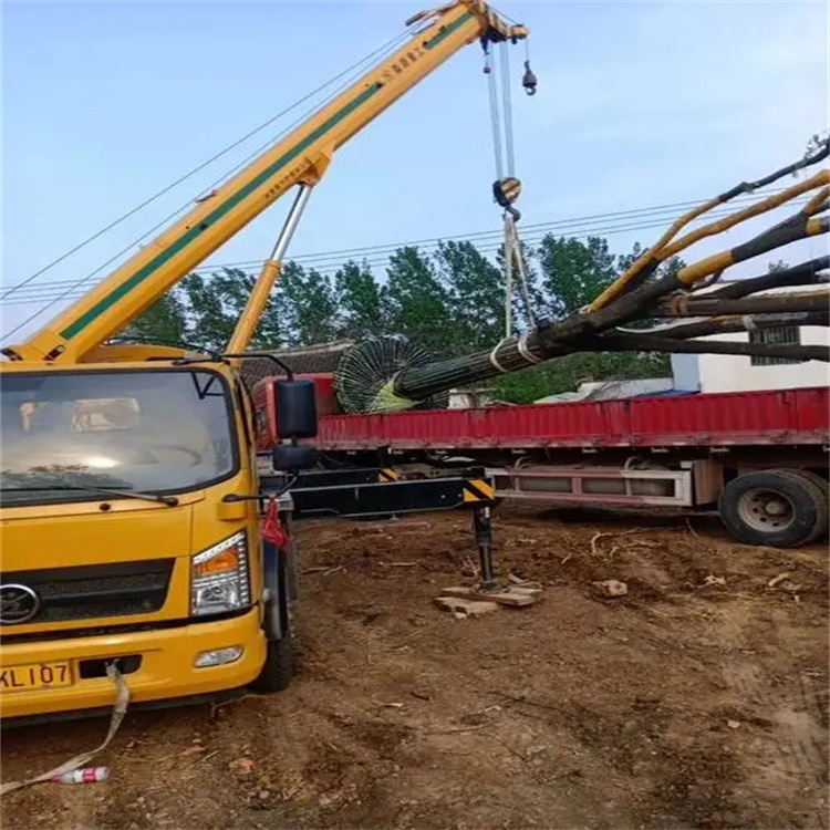 后湖管理区100吨吊车租赁费用怎么算？3大关键因素+省钱技巧全解析